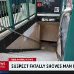 Subway shover